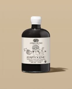 ADAPTOGENIC Tonic | Organic, 7 Mushrooms, Camu Camu, Mangosteen -StrikeZone Store 16oz adaptogenic mock up
