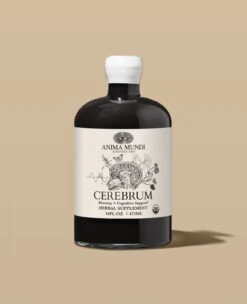 CEREBRUM Tonic | Nootropic + Cognitive Support* -StrikeZone Store 16oz cerebrum mock up