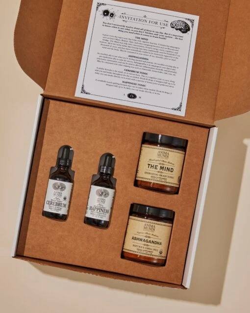 BRAIN KIT | Adaptogenic Nootropics* - Image 2