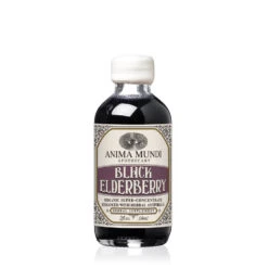 BLACK ELDERBERRY Elixir | Botanical + Mushroom Syrup -StrikeZone Store 2oz black elderberry