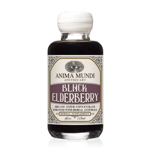 BLACK ELDERBERRY Elixir | Botanical + Mushroom Syrup - Image 15