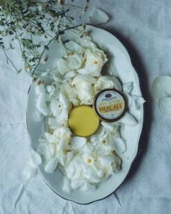 HEAL-ALL Arnica Relief Balm | Nourish, Soothe + Repair* -StrikeZone Store 5553EC41 D61C 4C79 B08E C6D5DC0FD736