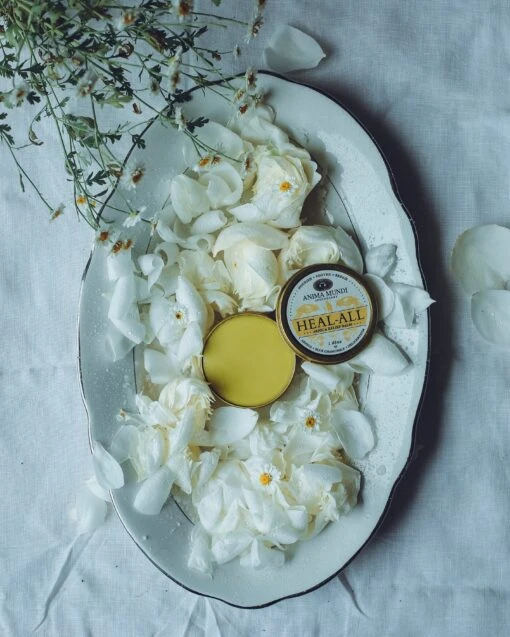 HEAL-ALL Arnica Relief Balm | Nourish, Soothe + Repair* - Image 9
