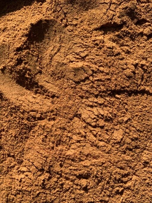 CATUABA | Wild Botanical For Vitality + Passion* - Image 2