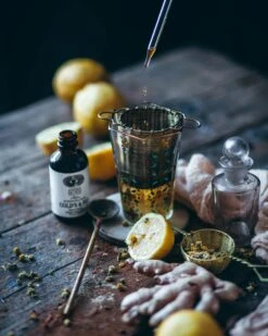 COLDS COCKTAIL | Herbal Defense* -StrikeZone Store Animamundioct22SilviaB16