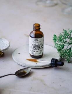 CEREBRUM Tonic | Nootropic + Cognitive Support* -StrikeZone Store CEREBRUM06 70d62731 8c2f 48cc 8e5c d763a7c86eab