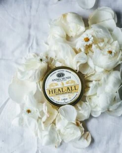 HEAL-ALL Arnica Relief Balm | Nourish, Soothe + Repair* -StrikeZone Store CFB455DB C209 4717 AE71 768567BBCA10