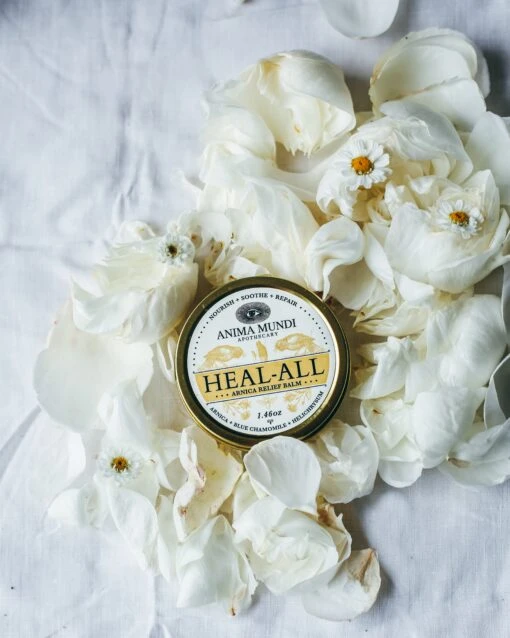 HEAL-ALL Arnica Relief Balm | Nourish, Soothe + Repair* - Image 8