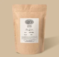 CATUABA | Wild Botanical For Vitality + Passion*