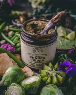 CHANCA PIEDRA | Botanical Ally For Cleansing + Balance* -StrikeZone Store ChancaPiedra 1