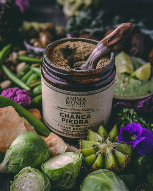 CHANCA PIEDRA | Botanical Ally For Cleansing + Balance* - Image 3