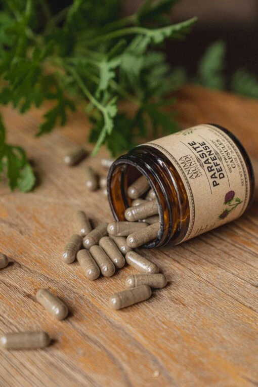 PARASITE DEFENSE | Gut Protection* Capsules - Image 2