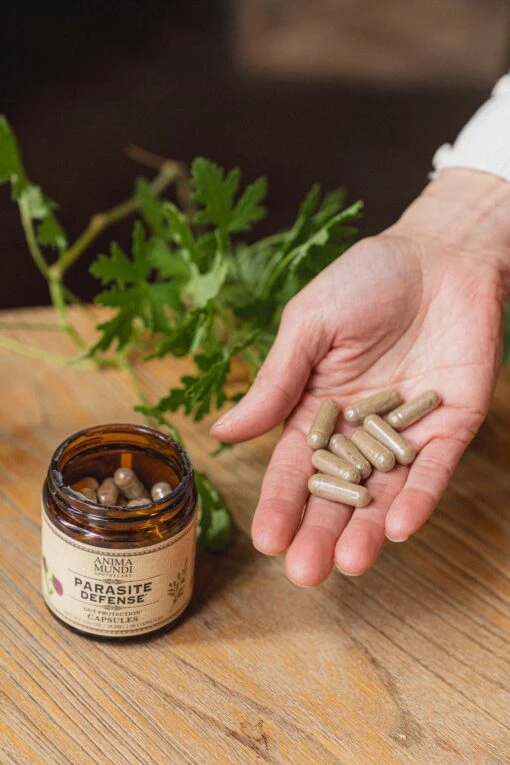 PARASITE DEFENSE | Gut Protection* Capsules - Image 3