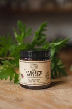 PARASITE DEFENSE | Gut Protection* Capsules -StrikeZone Store DSC01515