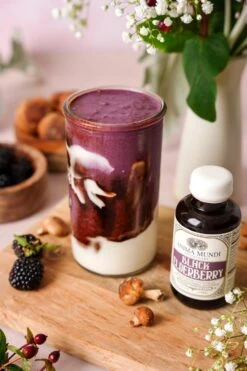 BLACK ELDERBERRY Elixir | Botanical + Mushroom Syrup -StrikeZone Store EldeberrySmoothie4