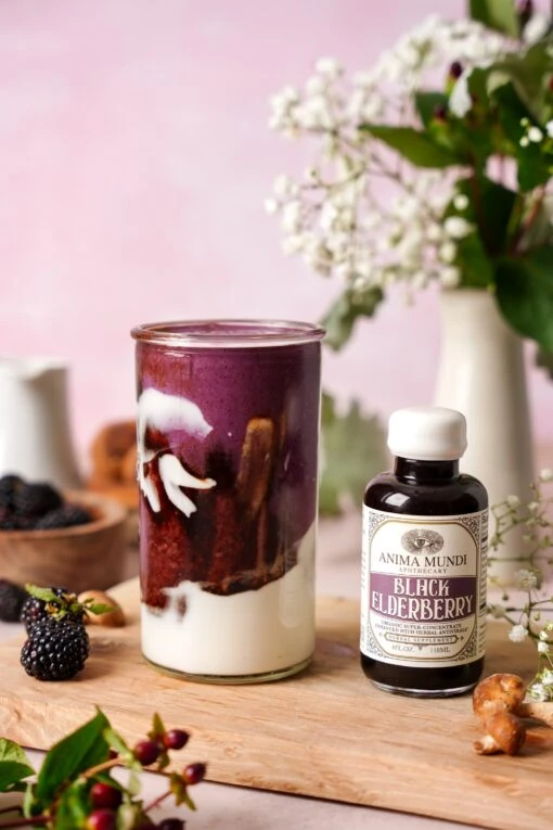 BLACK ELDERBERRY Elixir | Botanical + Mushroom Syrup - Image 4