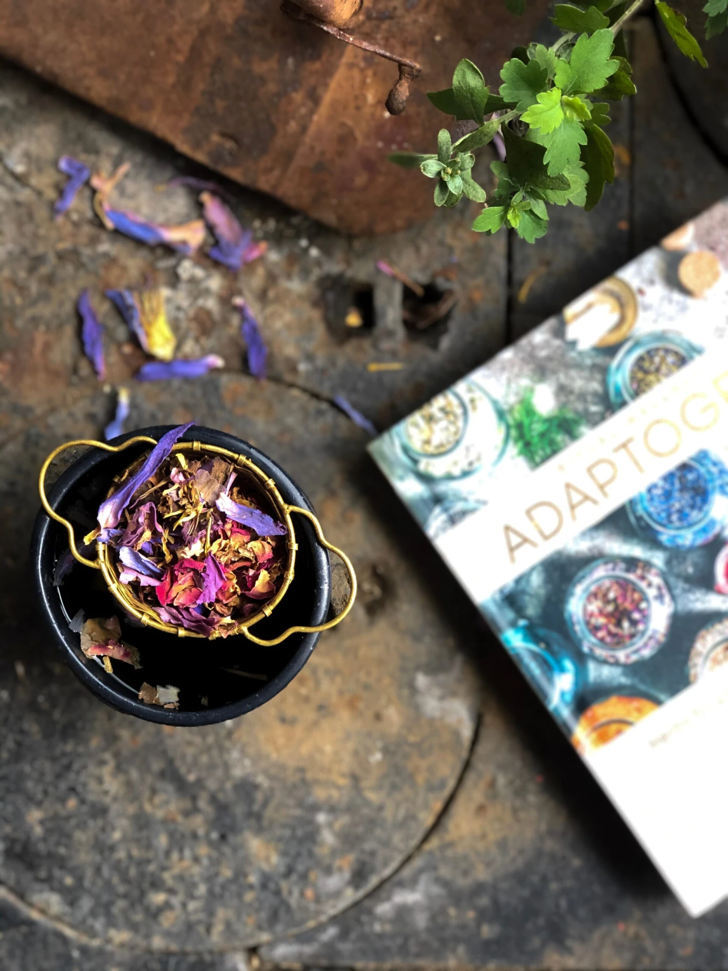 ADAPTOGENS Book | Ritual Wellness - Image 6