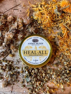 HEAL-ALL Arnica Relief Balm | Nourish, Soothe + Repair* -StrikeZone Store IMG 5206