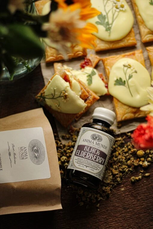 BLACK ELDERBERRY Elixir | Botanical + Mushroom Syrup - Image 6
