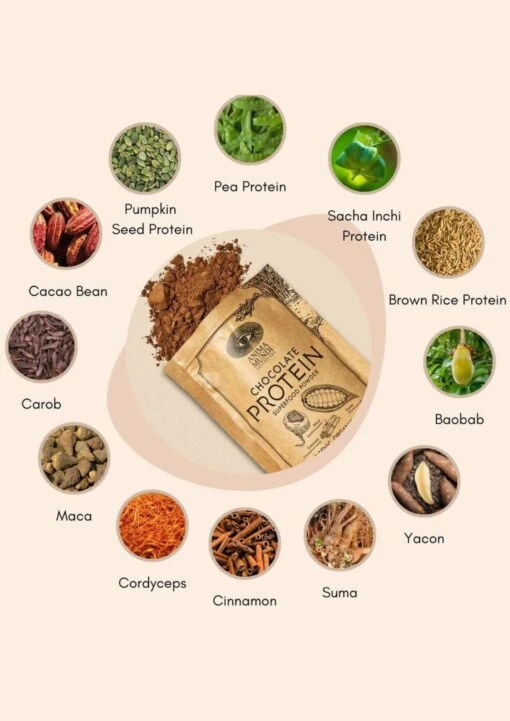 CHOCOLATE PROTEIN | Superfood Powder - Image 11