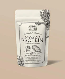 CHOCOLATE PROTEIN | Superfood Powder
