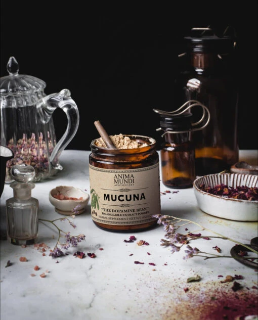 MUCUNA | "The Dopamine Bean" Extract Powder - Image 2