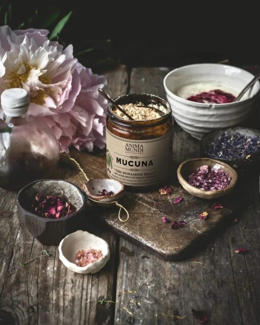 MUCUNA | "The Dopamine Bean" Extract Powder - Image 11