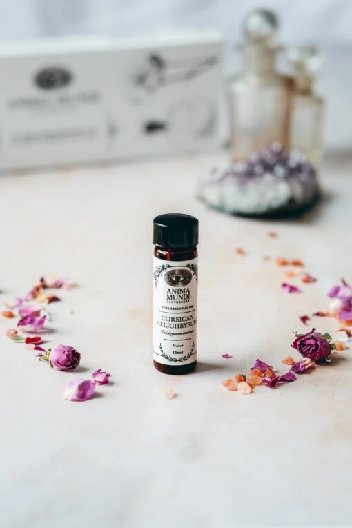 CORSICAN HELICHRYSUM Essential Oil | Sustainably Cultivated - Image 2