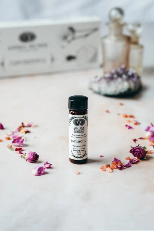 PATCHOULI Essential Oil | Sustainably Harvested - Image 2