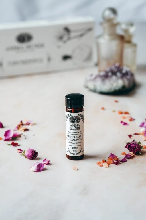AUSTRALIAN SANDALWOOD Essential Oil | Organic - Image 2