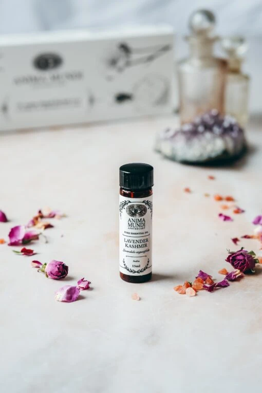 LAVENDER KASHMIR Essential Oil | Sustainably Cultivated - Image 2