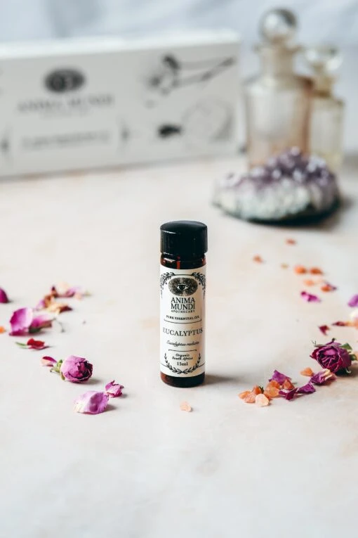 EUCALYPTUS Essential Oil | Organic - Image 2