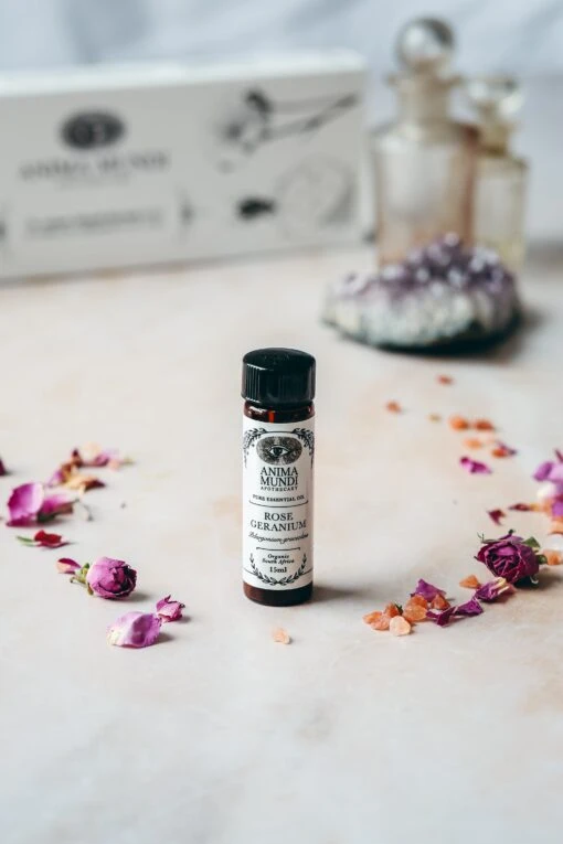 ROSE GERANIUM Essential Oil | Organic - Image 2
