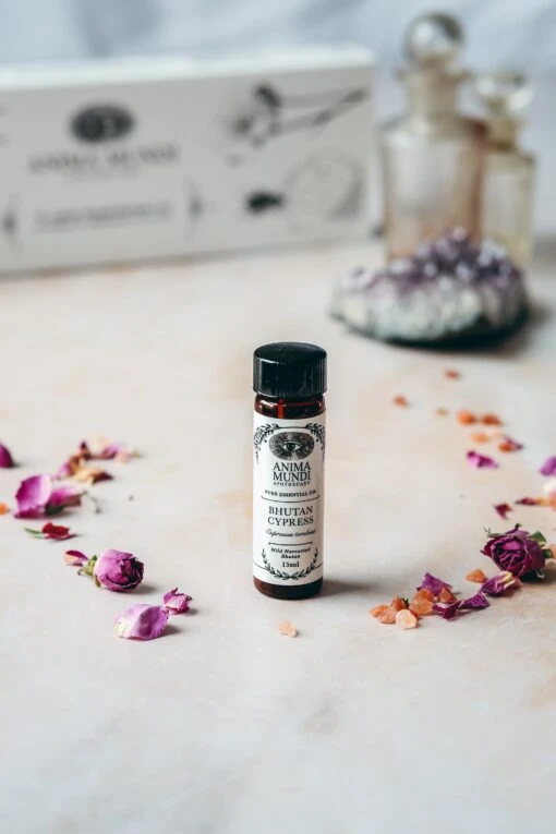 BHUTAN CYPRESS Essential Oil | Wildcrafted - Image 2