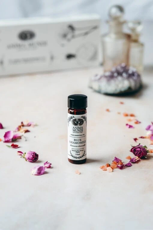 BLUE CHAMOMILE Essential Oil | Sustainably Cultivated - Image 2