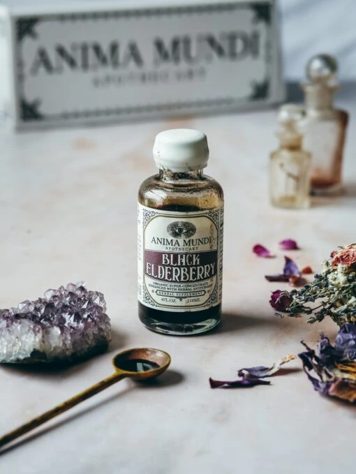 BLACK ELDERBERRY Elixir | Botanical + Mushroom Syrup - Image 3