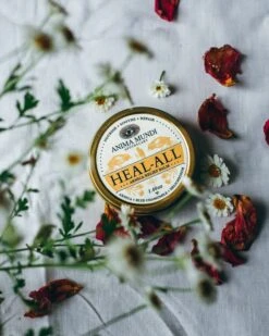 HEAL-ALL Arnica Relief Balm | Nourish, Soothe + Repair* -StrikeZone Store O01A5744
