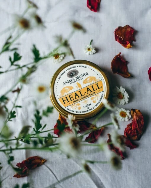 HEAL-ALL Arnica Relief Balm | Nourish, Soothe + Repair* - Image 6