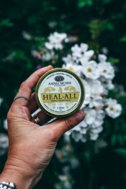 HEAL-ALL Arnica Relief Balm | Nourish, Soothe + Repair* -StrikeZone Store O01A5800