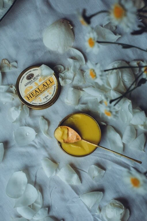 HEAL-ALL Arnica Relief Balm | Nourish, Soothe + Repair* - Image 3