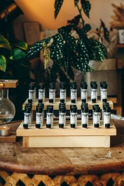 CORSICAN HELICHRYSUM Essential Oil | Sustainably Cultivated -StrikeZone Store O01A9001 2