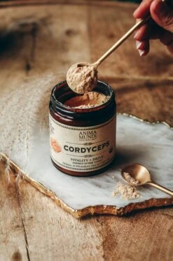CORDYCEPS | Organic Mushroom Powder, Energy Super Tonic* -StrikeZone Store O01A9130