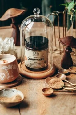 CORDYCEPS | Organic Mushroom Powder, Energy Super Tonic* -StrikeZone Store O01A9228