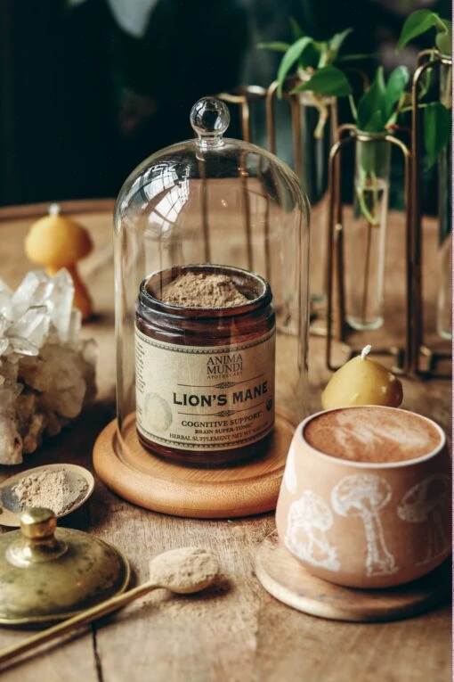LION'S MANE | Organic Mushroom Powder, Focus Tonic* - Image 2
