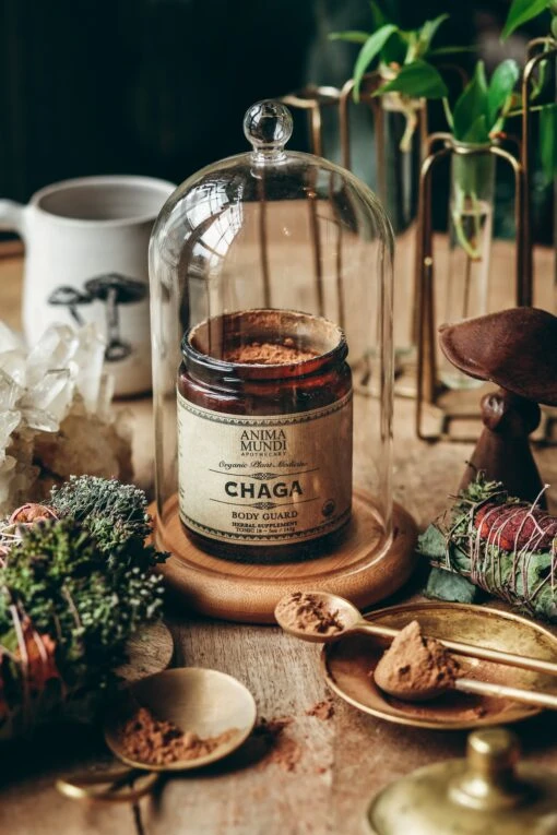 CHAGA | Organic Mushroom Powder, Body Guard* - Image 2