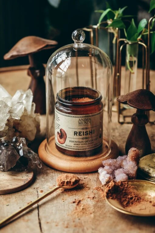 REISHI | Organic Mushroom Powder, Spirit Super-Tonic* - Image 4
