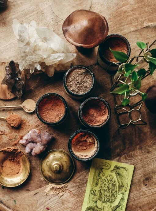 REISHI | Organic Mushroom Powder, Spirit Super-Tonic* - Image 11