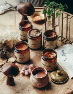 REISHI | Organic Mushroom Powder, Spirit Super-Tonic*