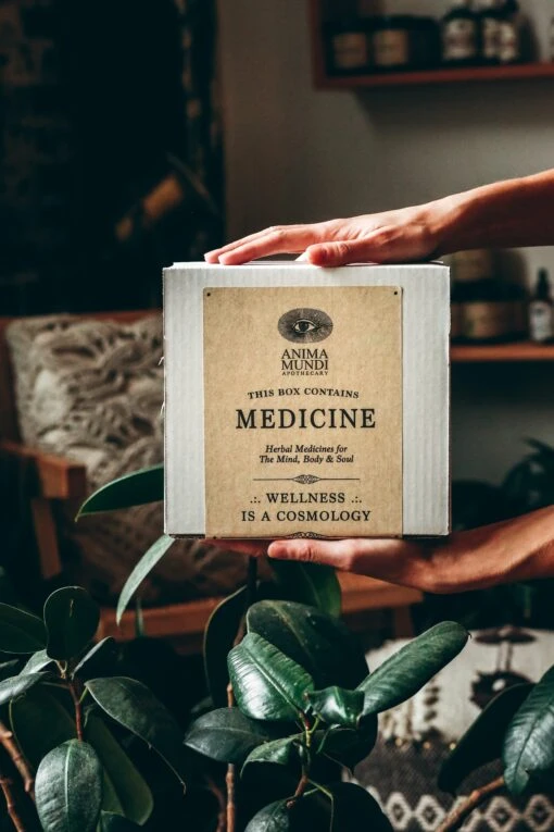 Collagen Oil + Gua Sha | BUNDLE - Image 3