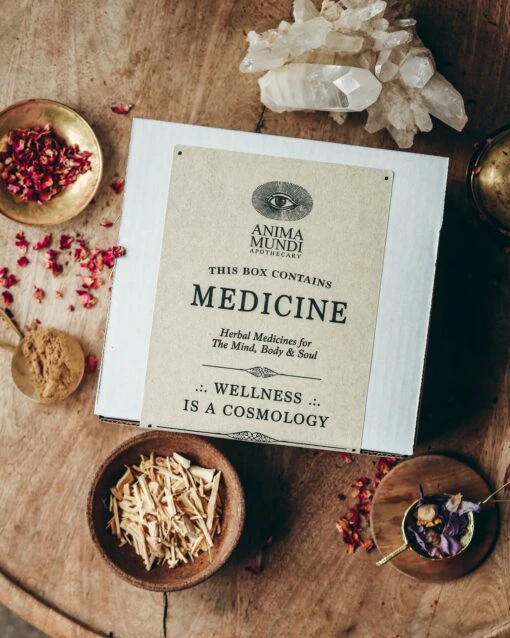 Adaptogenic Mushroom Set, Organic + Locally Grown | BUNDLE - Image 5